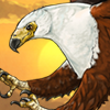 African Fish Eagle